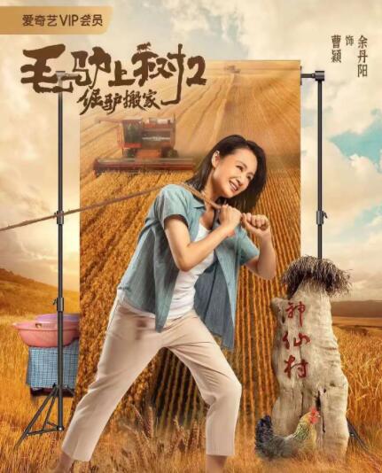 精品三级国产